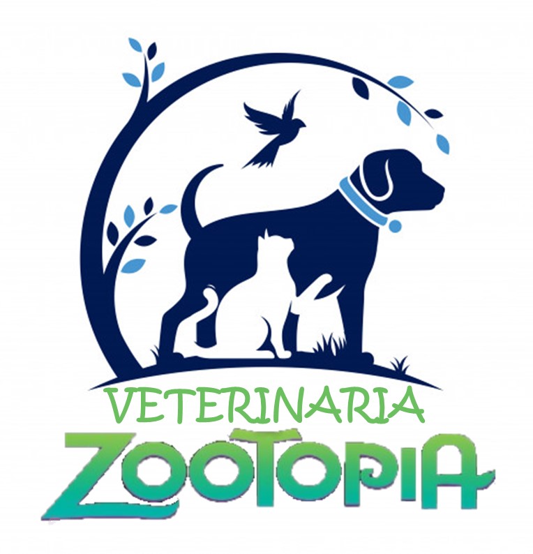logo-VETERINARIA ZOOTOPIA