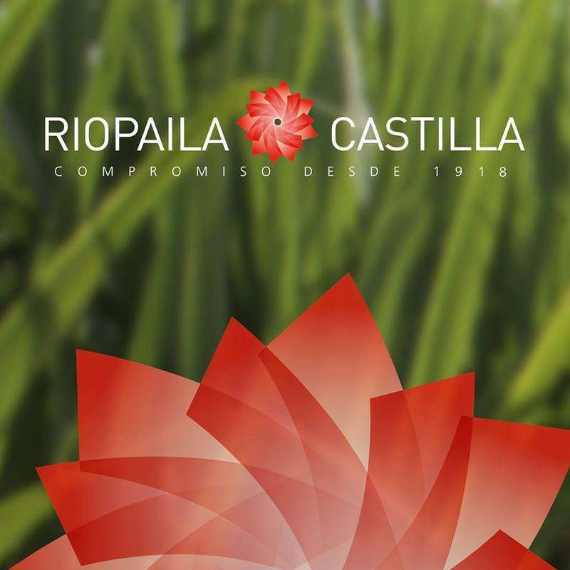 logo-INGENIO RIOPAILA