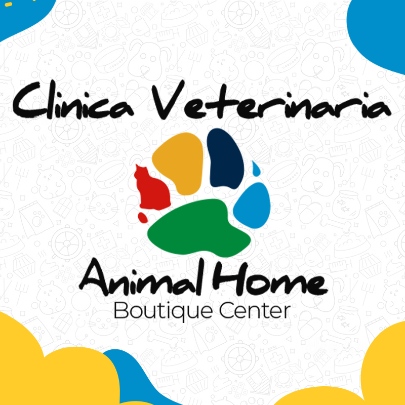 logo-CLINICA VETERINARIA ANIMAL HOME