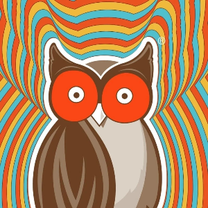 logo-HOOTERS RESTAURANTE
