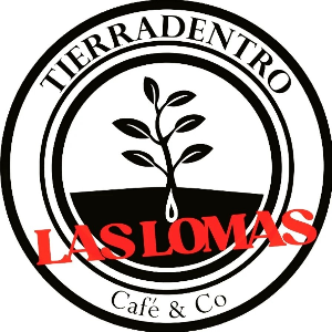 logo-TIERRADENTRO