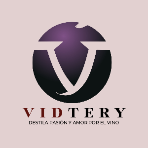 logo-VIDTERY ROLDANILLO