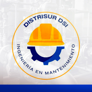 logo-DISTRISUR DSI