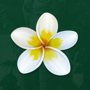 logo-RESTAURANTE BALI
