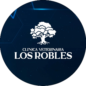 logo-SUSAN ZAKZUK