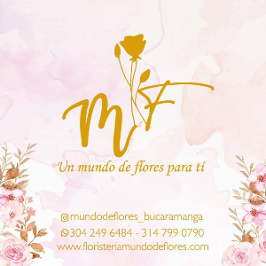 logo-MUNDO DE FLORES
