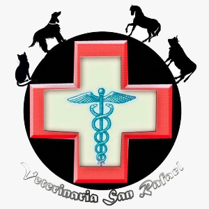 logo-CLÍNICA VETERINARIA SAN RAFAEL