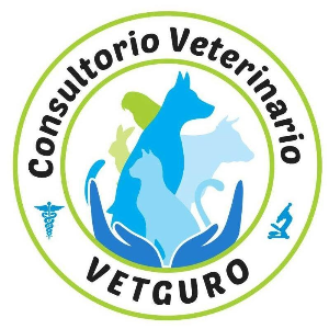 logo-CONSULTORIO VETERINARIO VETGURO
