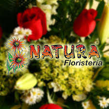 logo-FLORISTERIA NATURA