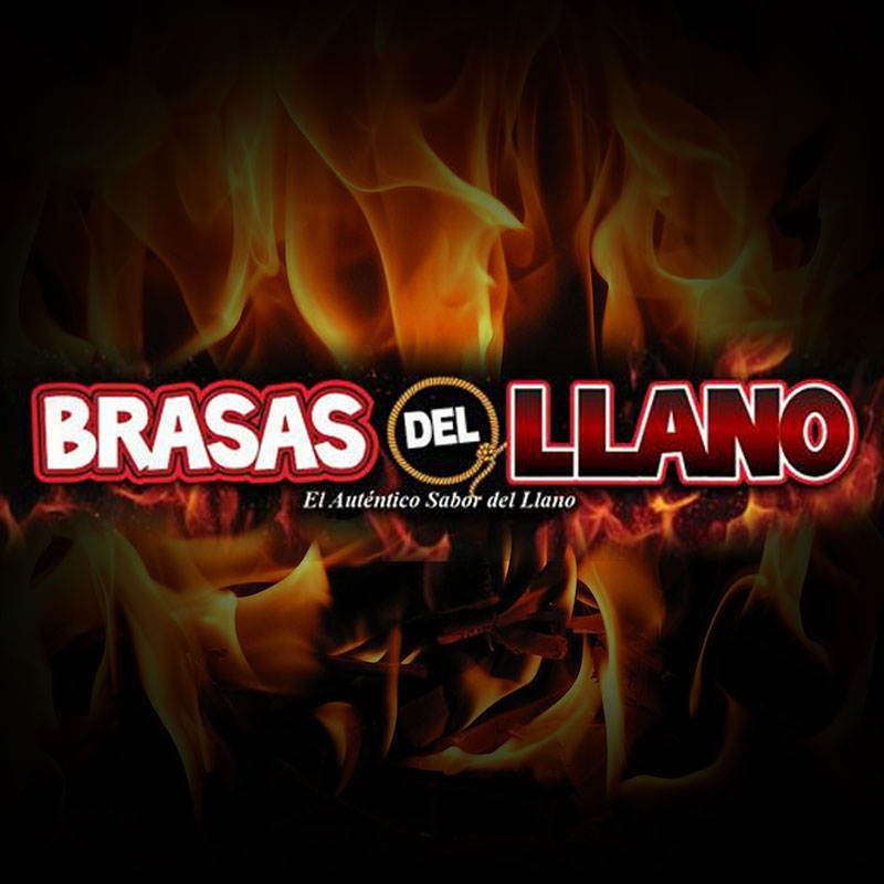 logo-BRASAS DEL LLANO