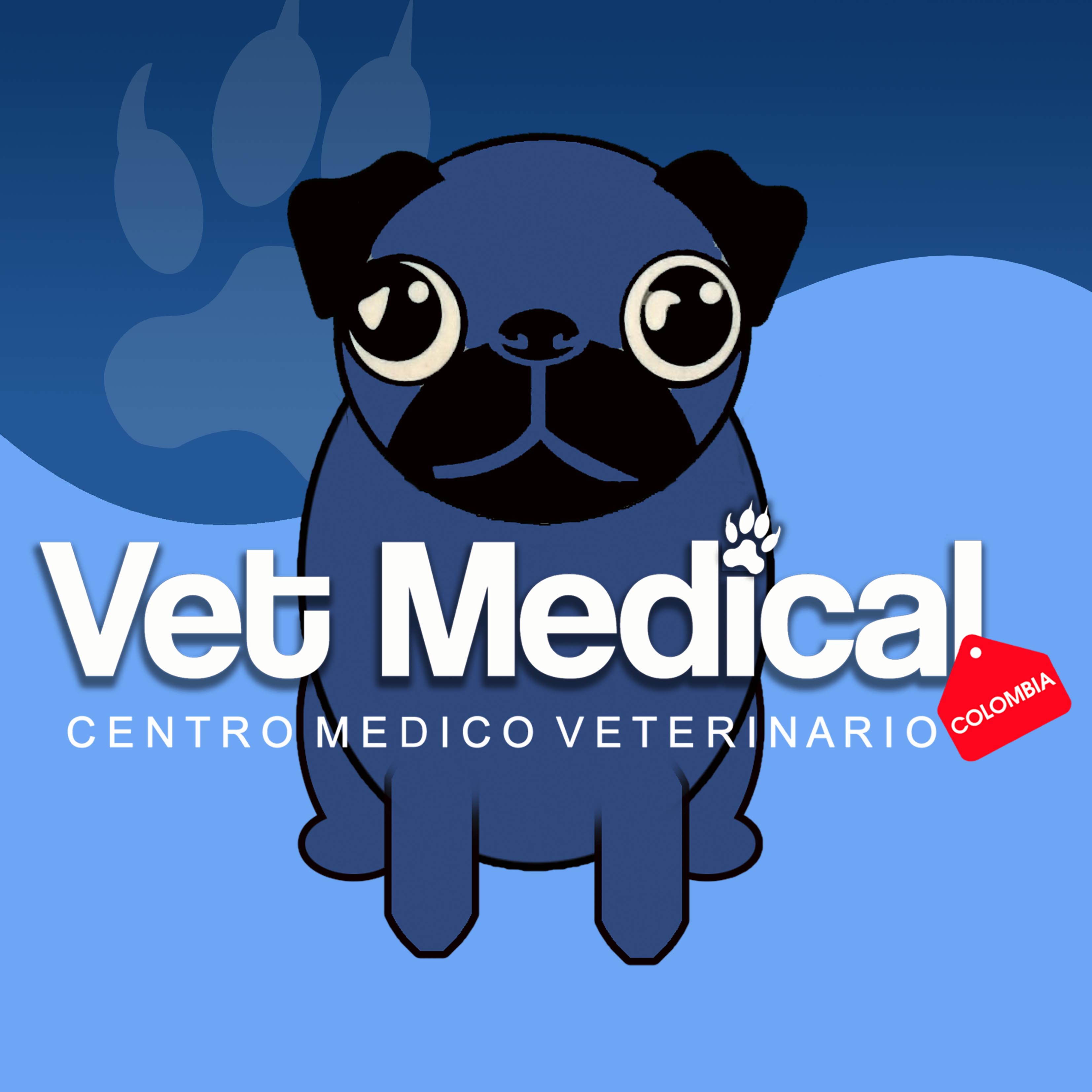 logo-VET MEDICAL COLOMBIA