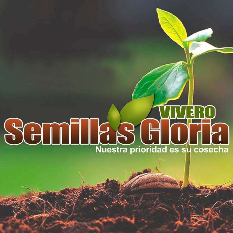 logo-VIVERO SEMILLAS GLORIA