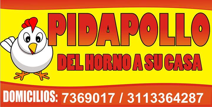 logo-PIDAPOLLO