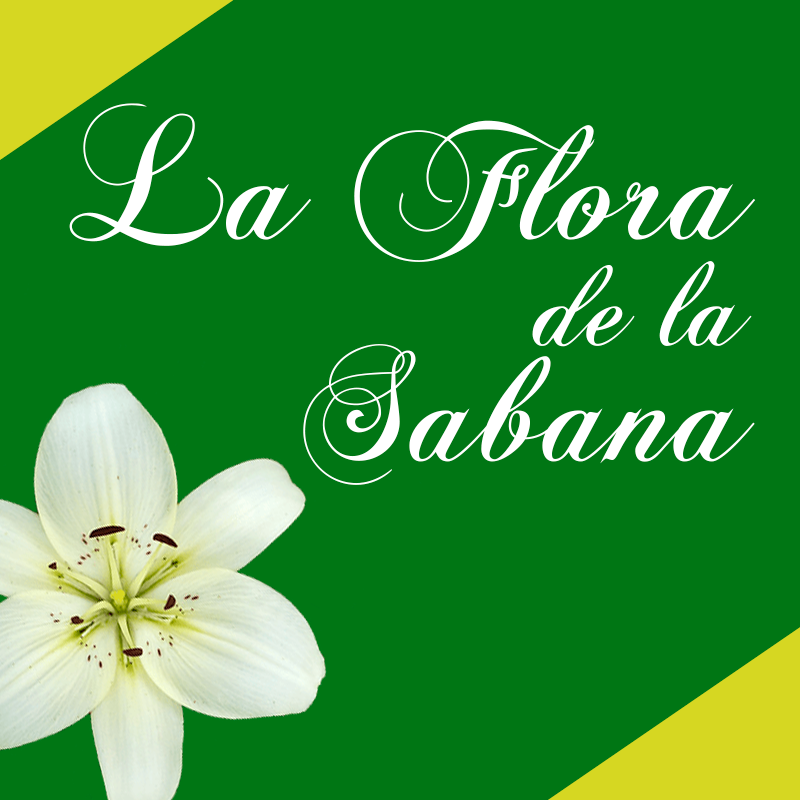 logo-FLORISTERIA LA FLORA DE LA SABANA