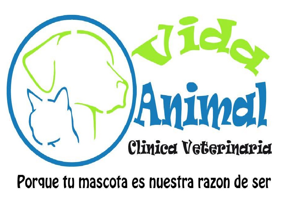 logo-CLINICA VETERINARIA VIDA ANIMAL
