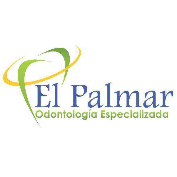 logo-EL PALMAR