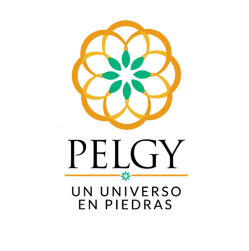 logo-PELGY
