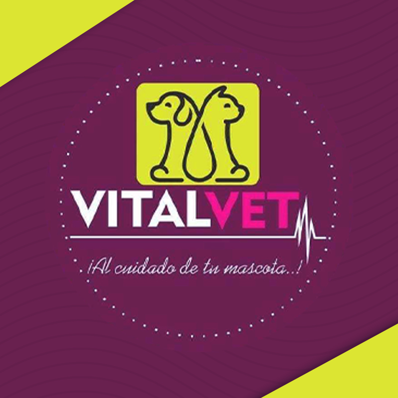 logo-VITAL VET CENTRO VETERINARIO 